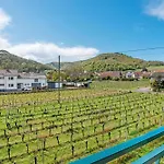 Weingut Loewenthal Eschbach (Sudliche Weinstrasse)