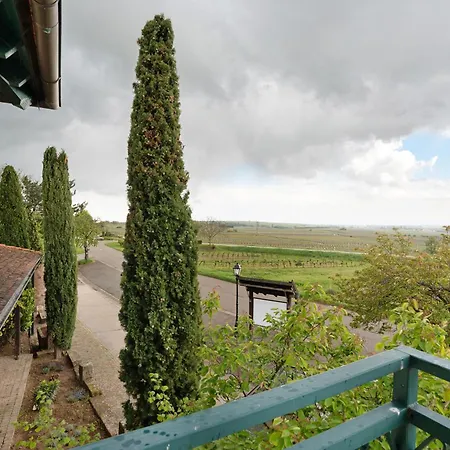 아파트 Weingut Loewenthal