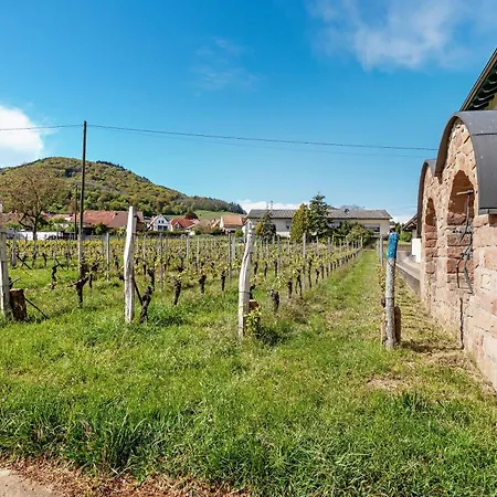 شقة Weingut Loewenthal *