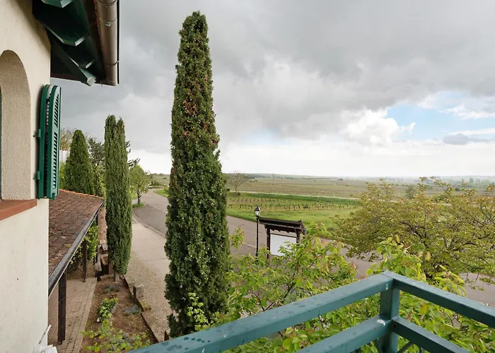 Apartamento Weingut Loewenthal