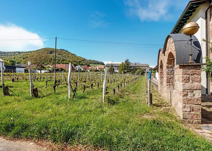 Apartamento Weingut Loewenthal *